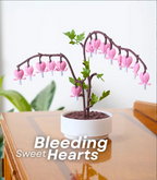 HeartBloom™ Love Notes & Jewelry Keepsake