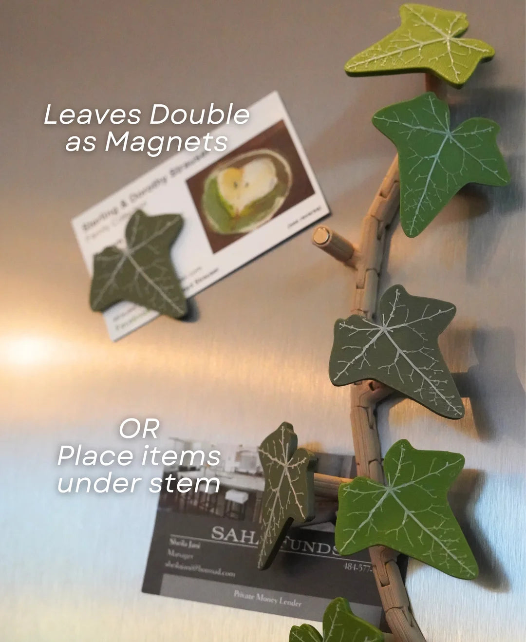 Magnetivy - English Ivy Fridge Magnet with Articulating Stems