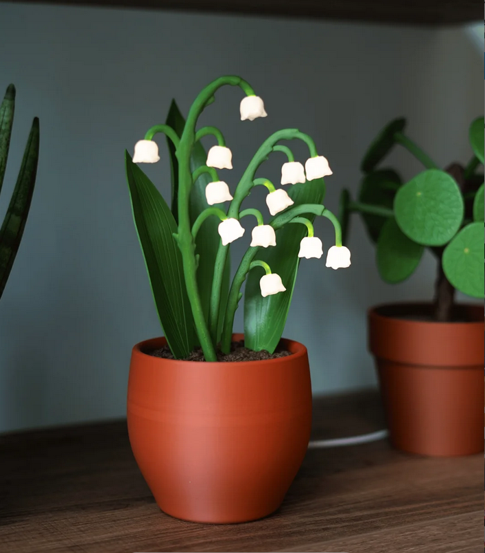 LumiLily™ Night Light