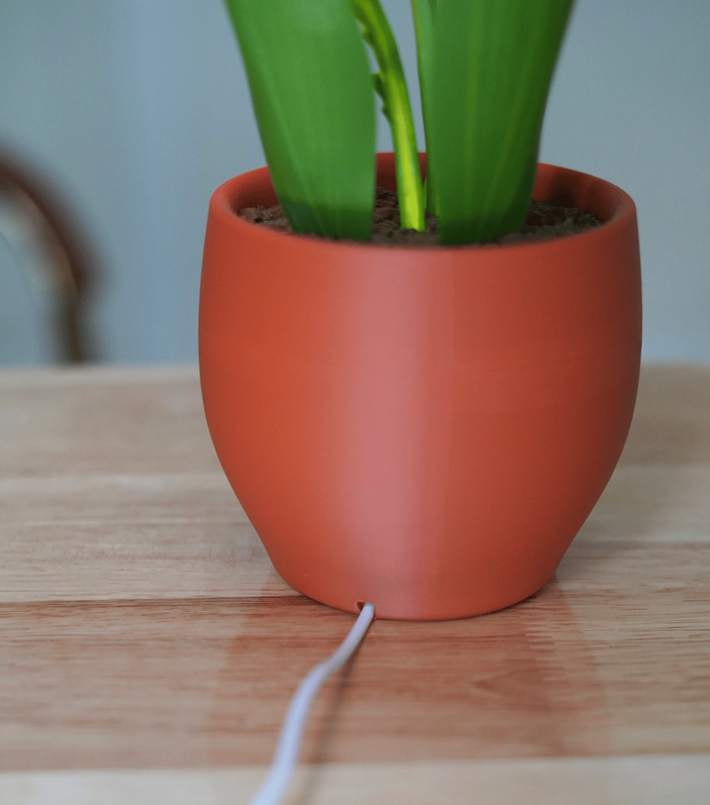 LumiLily™ Night Light