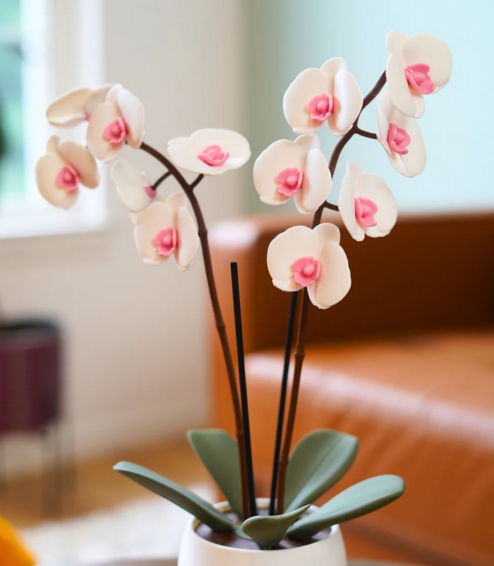 OrchidAura™ Aromatic Diffuser & Incense Holder