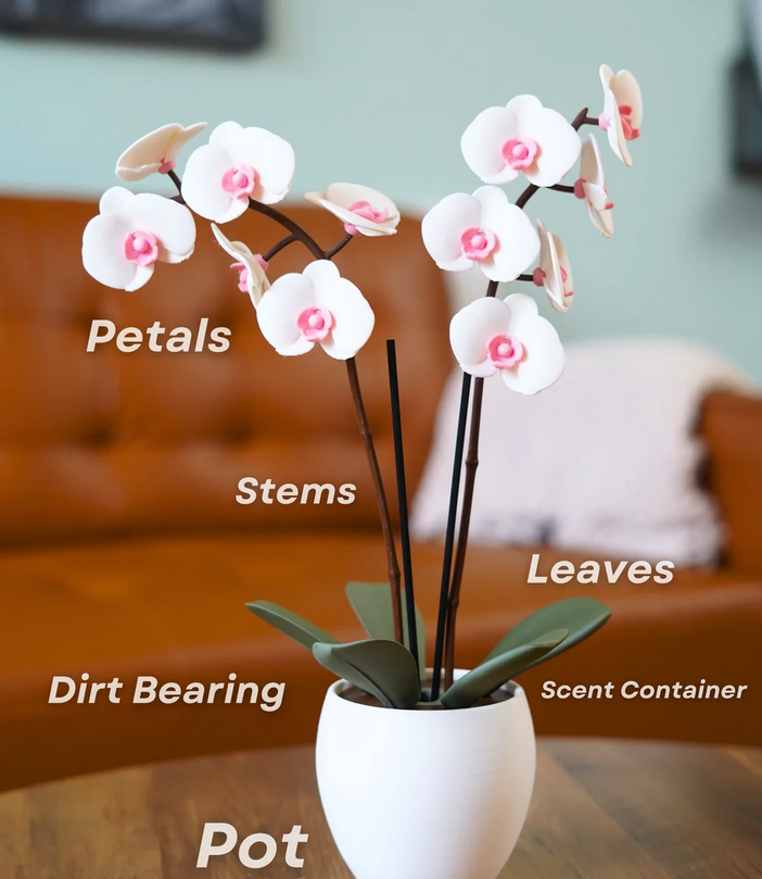 OrchidAura™ Aromatic Diffuser & Incense Holder