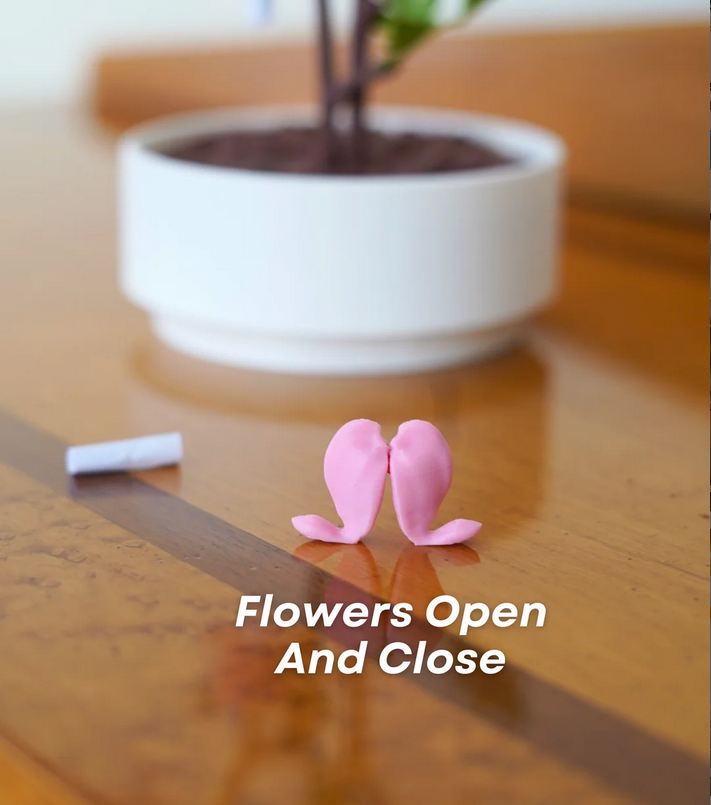 HeartBloom™ Love Notes & Jewelry Keepsake