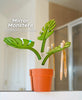 MonsteraLatch™ Mirror-Mounted Bathroom Organizer