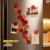 Boston Ivy - Fridge magnet note keeper