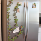 Magnet ivy Fridge Organizer