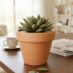 Push Pin Succulent Pin holder